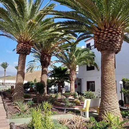 Sea View In Silent South Tenerife * Costa Del Silencio